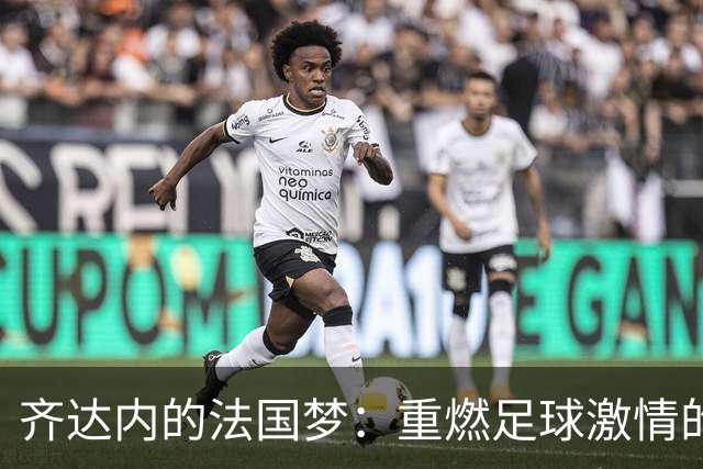 齐达内的法国梦：重燃足球激情的三中场魔法